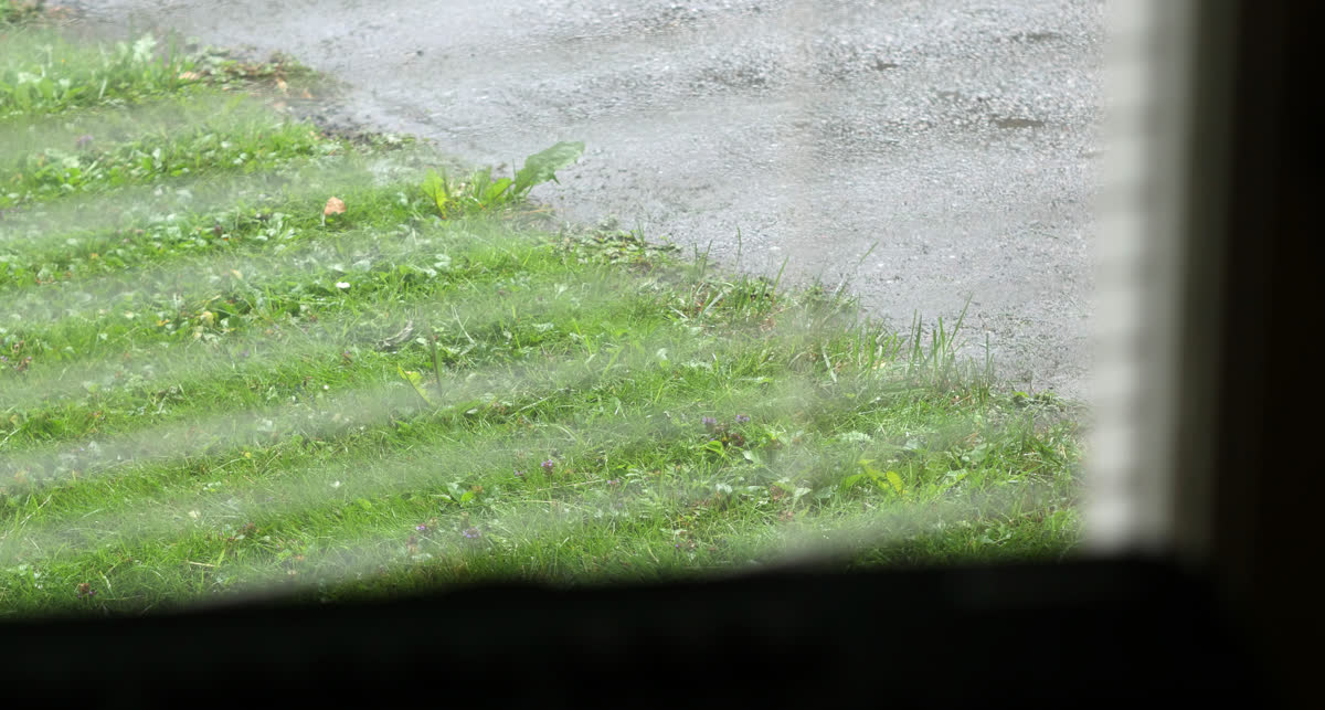 Bild tagen genom ett fönster med persienner på gräset utanför.